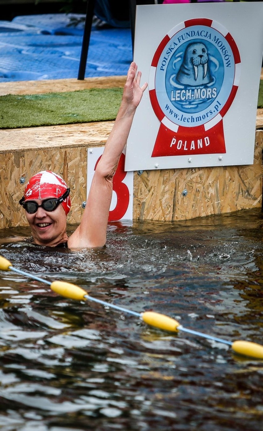 Mistrzostwa Europy morsów w pływaniu ekstremalnym Gdańsk...