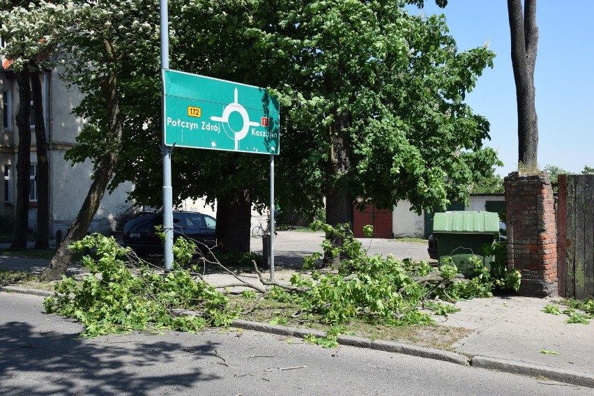 Drzewa padają na ulicy Koszalińskiej (zdjęcia)