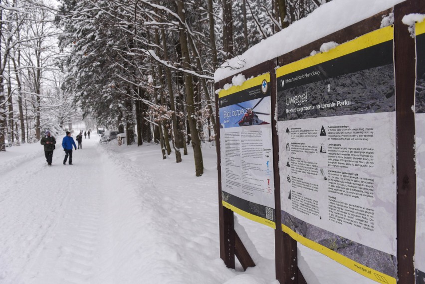 Tatry. Czwarty stopień zagrożenia lawinowego nie wystraszył turystów [ZDJĘCIA]