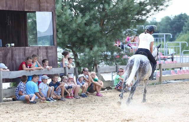 W stadninie koni w Skaryszewie pod Radomiem, zwłaszcza w wakacje wciąż jest dużo dzieci. W środę odwiedzili ją młodzi mieszkańcy gminy, którzy latem spędzają czas w Miejsko - Gminnym Ośrodku Kultury w Skaryszewie.