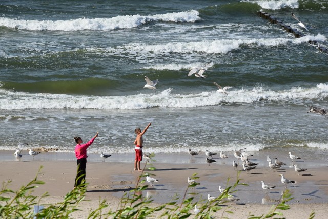 Plażowanie zapowiada się dopiero w przyszłym tygodniu