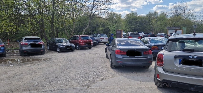 Kraków. Parkingowa samowolka na Zakrzówku. "Parkują na zieleni, kręcą bączki na dopiero co wykonanych ścieżkach". Dowody na zdjęciach