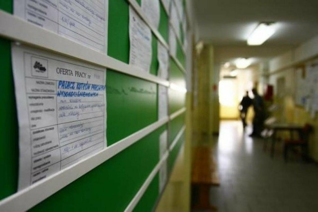 Sprawdź, jakie oferty pracy wpłynęły w ostatnich dniach do Powiatowego Urzędu Pracy w Koszalinie. Kogo poszukują pracodawcy?