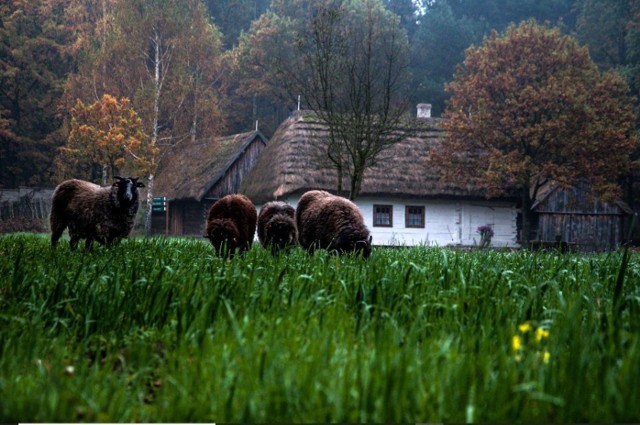 Sprawdziliśmy, jakie atrakcje dostępne w Radomiu polecają użytkownicy portalu Tripadvisor. Zobacz TOP 10 atrakcji!