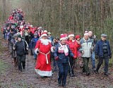 XIII Mikołajkowy Nordic Walking w Puszczy Kozienickiej odbędzie się w niedzielę 5 grudnia