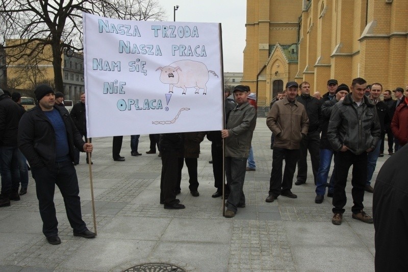Syreny na ul. Piotrkowskiej. Hodowcy trzody chlewnej protestują przeciwko cenom wieprzowiny [FILM]