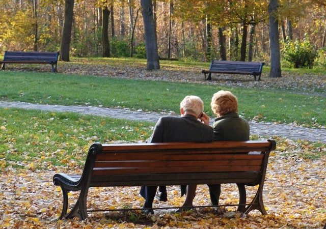 Opolskie samorządy coraz bardziej angażują się w opiekę nad osobami starszymi.