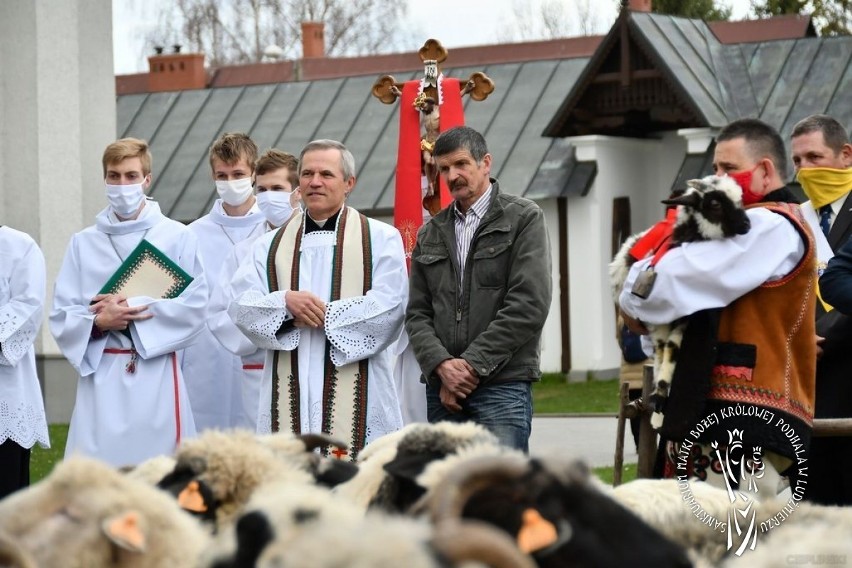 Ludźmierz. Święto bacowskie na początek sezonu wypasu owiec [ZDJĘCIA]