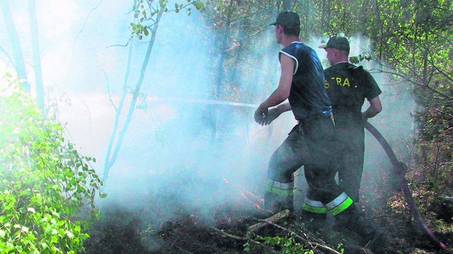 Akcje gaśnicze są bardzo utrudnione, gdy pali się las. Strażacy mają utrudniony dostęp do wody, sucha ściółka ułatwia rozprzestrzenianie się ognia.