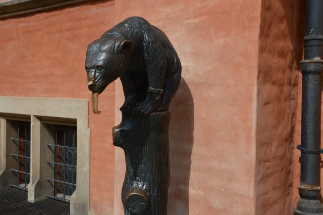 Miś z brązu jest jedną z atrakcji turystycznych Wrocławia. Jednak pielęgnacja rzeźby pozostawia wiele do życzenia.