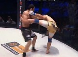 Gala KSW 29. Mamed Chalidow - Brett Cooper. Polak wygrał (wideo)