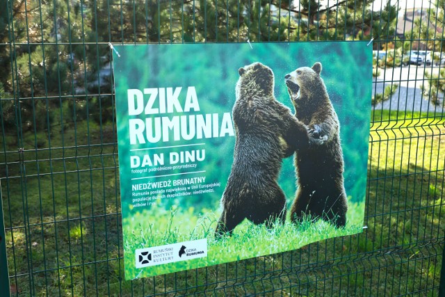 Wystawę "Dzika Rumunia" otwarto w centrum Wieliczki. Ekspozycja będzie czynna do 4 grudnia
