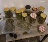Narkobiznes w Sosnowcu. Policja zatrzymała 28-letniego mężczyznę, który posiadał ponad 600 porcji marihuany, kokainę i grzyby halucynogenne