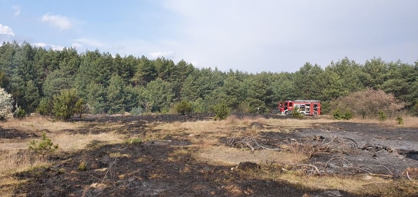 Oto tragiczne skutki pożaru w miejscowości Młyny, gmina...