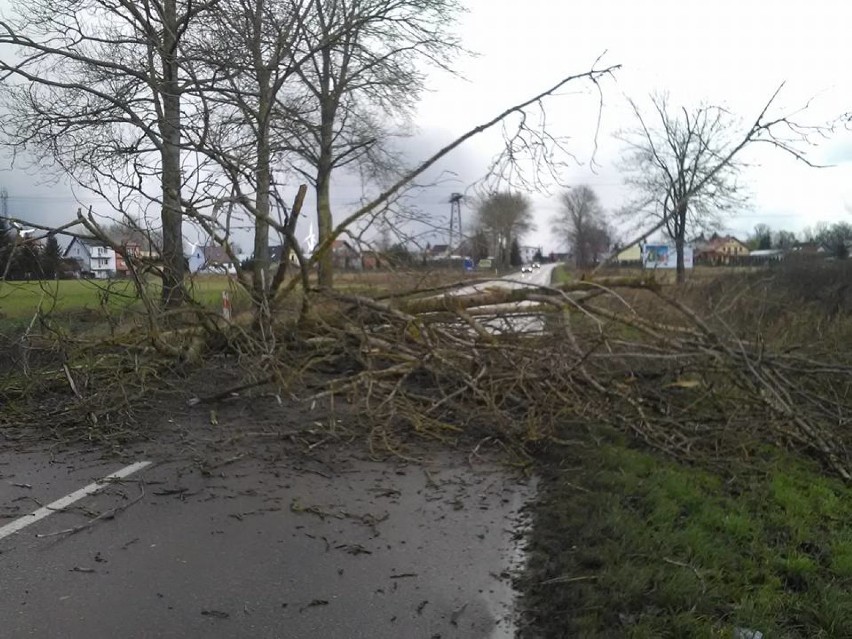 Pomorscy strażacy kilkadziesiąt razy wzywani byli do...