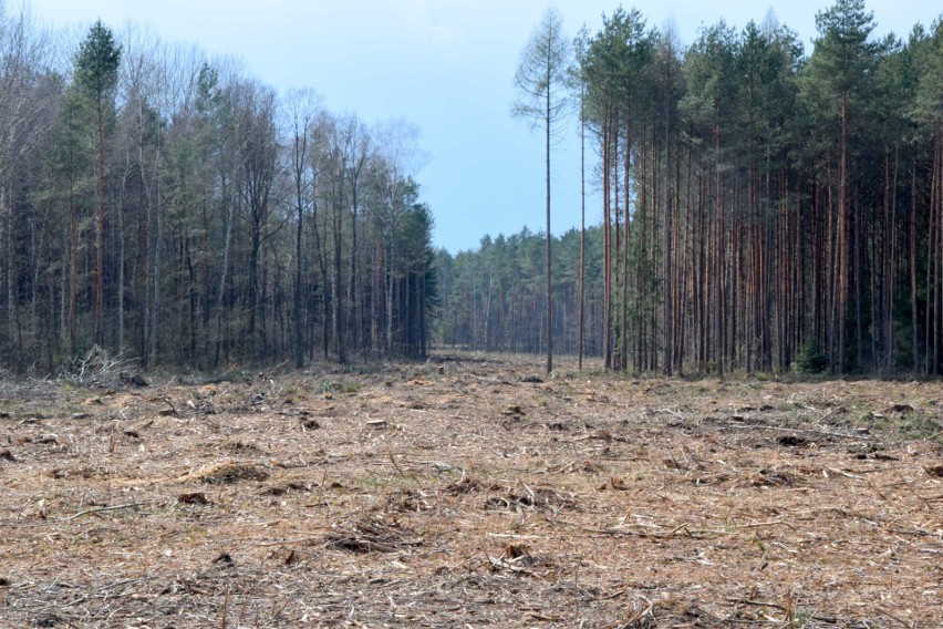 Kolejny krok w stronę budowy obwodnicy Starachowic. Podpisano ważną umowę (ZDJĘCIA)