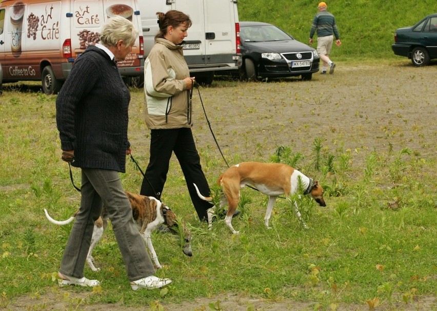 XVIII Międzynarodowa Wystawa Psów