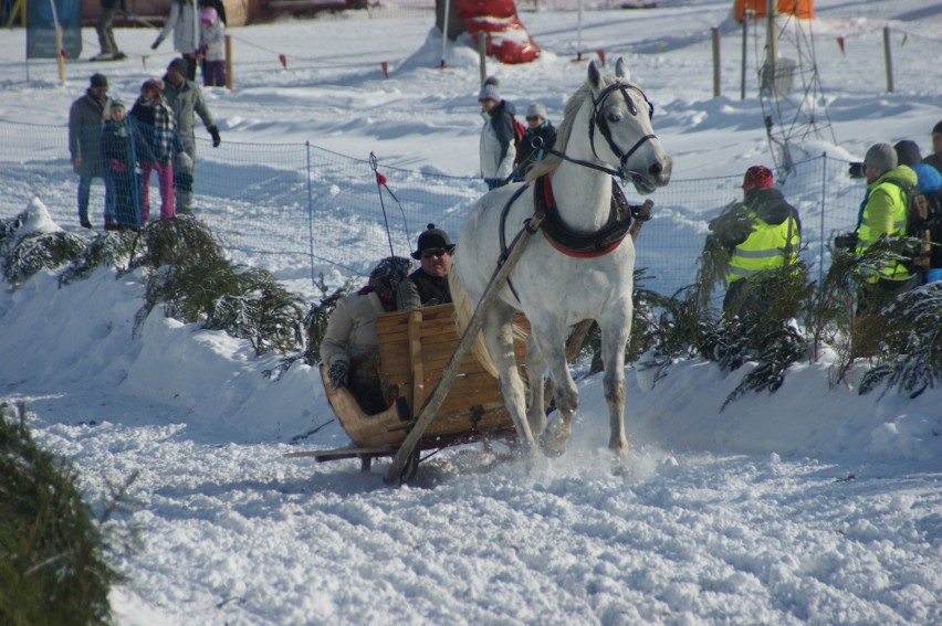 Kumoterki Zakopane 2018