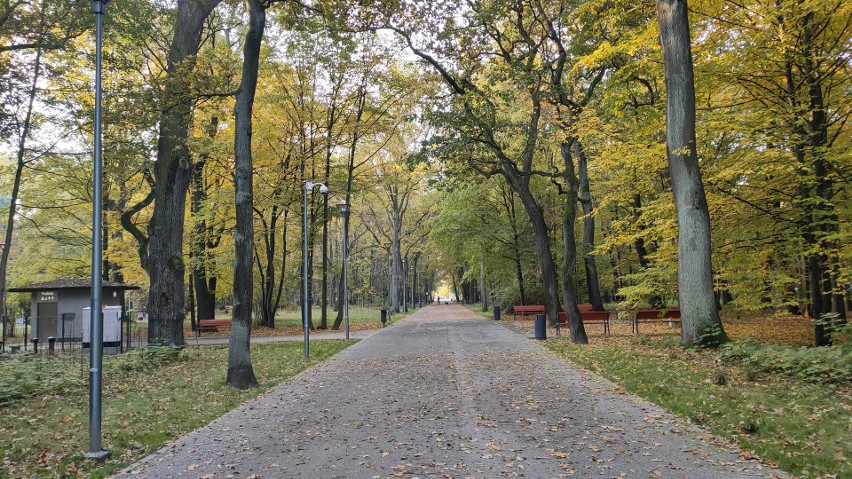 Park Zielona w Dąbrowie Górniczej to atrakcyjne miejsce na...