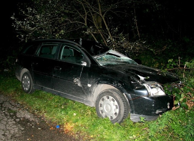 Opel vectra po zderzeniu z łosiem.