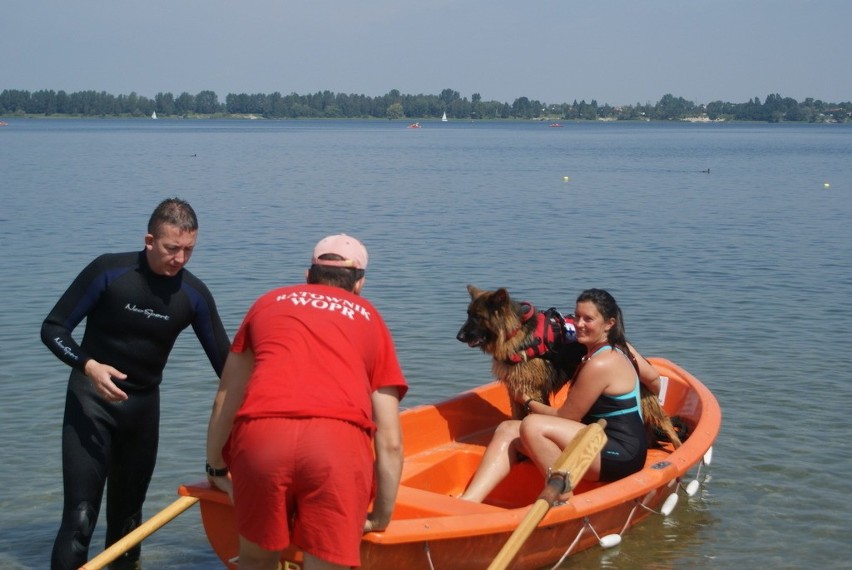 Mistrzostwa Polski Psów Ratowniczych i Pracujących w Wodzie...