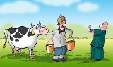 Co Komisja Europejska robi aby ustabilizować rynek mleczarski