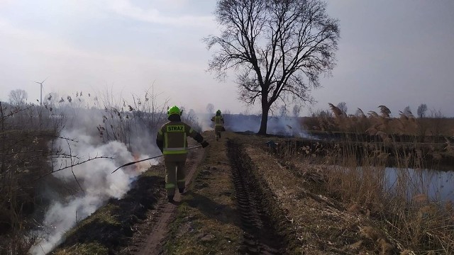 Od wielu dni strażacy z regionu wyjeżdżają do pożarów traw i nieużytków. Na zdjęciu druhowie z Orońska, podczas akcji przy ulicy Topolowej.