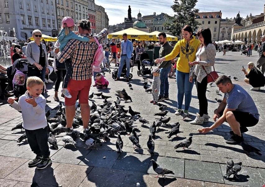 Kraków. Słoneczny weekend przyciągnął na Rynek Główny krakowian i turystów [ZDJĘCIA]