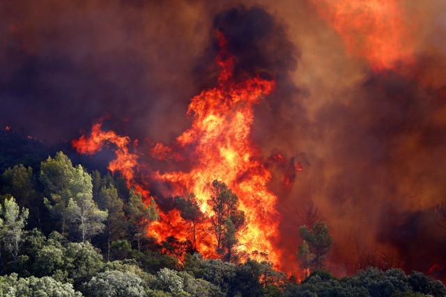 Zatrzymani podpalacze są odpowiedzialni za kilkaset pożarów lasów i łąk