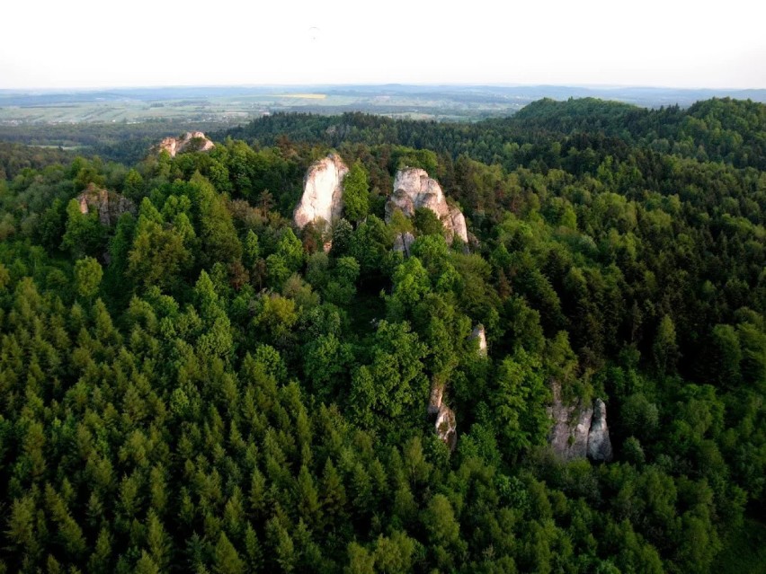 Jura Krakowsko-Częstochowska z lotu ptaka [ZDJĘCIA]