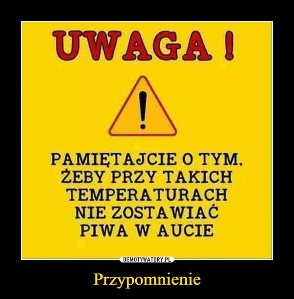 Upał w Polsce dokucza wszystkim. Internauci wzięli sprawy w...