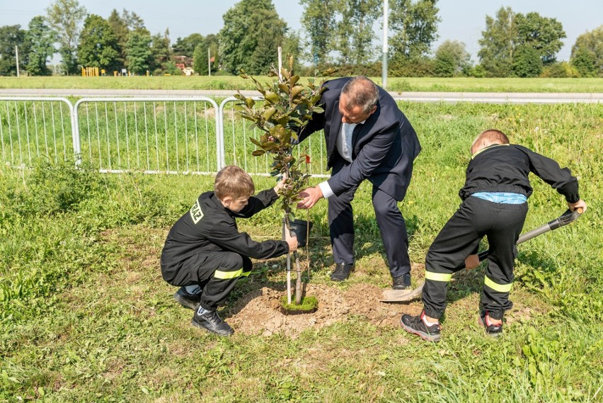 Brzegi – Wieliczka. W Kampusie Miłosierdzia zasadzono 80 drzew pokoju [ZDJĘCIA]