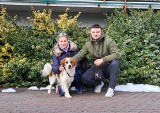 Brawo! Te osoby adoptowały psy ze Schroniska dla Zwierząt w Toruniu
