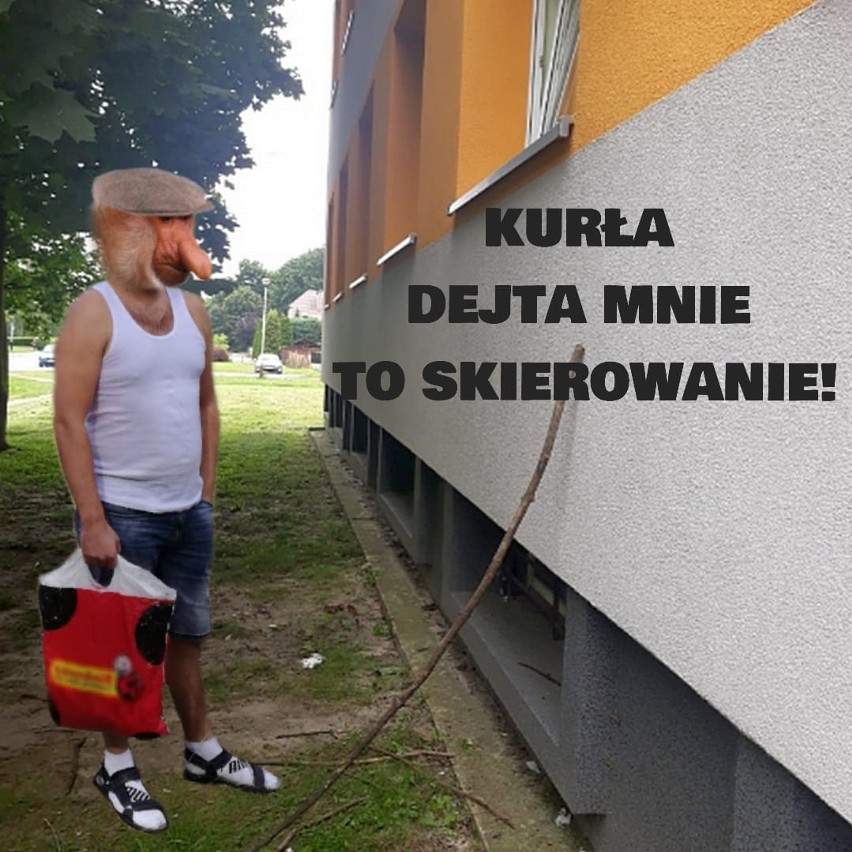 Memy o kiju obok przychodni zdrowia w Tarnobrzegu to hit internetu! Zobacz jak reagują internauci [ZDJĘCIA]