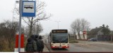 Nowa linia autobusowa już wkrótce na gdańskich ulicach. Linia 189 powróci na stałą trasę