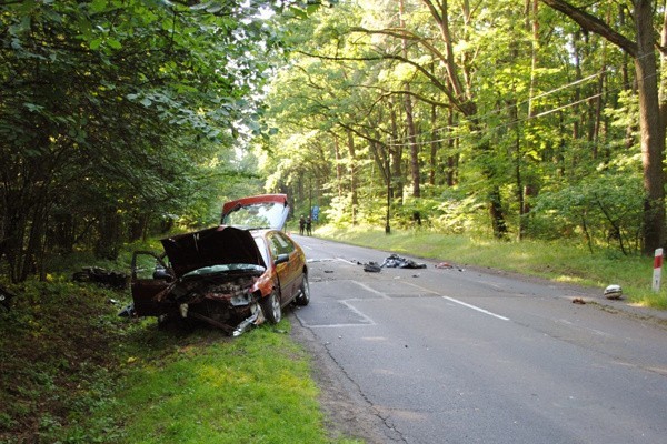 Miejsce tragicznego wypadku. Na pierwszym planie rozbita honda civic, w którą motocyklista uderzył po zderzeniu z sarną.