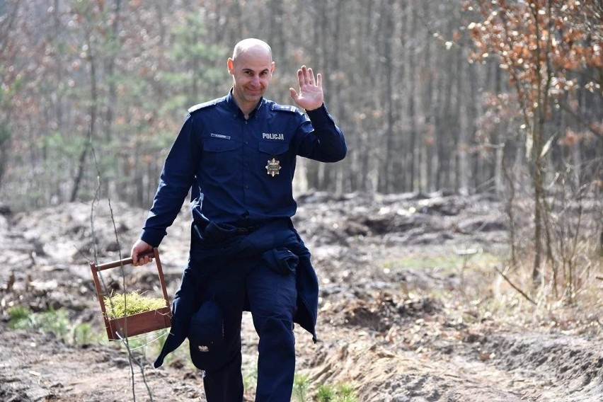 Komendant policji w Świeciu sadził sosny. Miał szczytny cel i liczną asystę