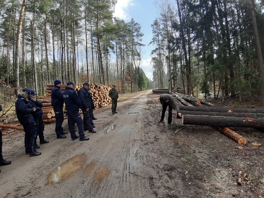 Bielsk Podlaski. Policjanci i leśnicy będą walczyć ze szkodnictwem