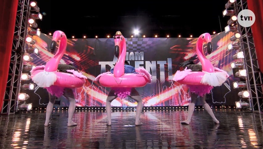 "Mam talent" sezon 12. Cyrk Partolini w 1. odcinku nowej edycji! Różowe flamingi zachwyciły jurorów?  [FRAGMENT WYSTĘPU]