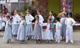 Wielkie święto w Brzeszczach-Borze. Gminne dożynki i jubileusze
