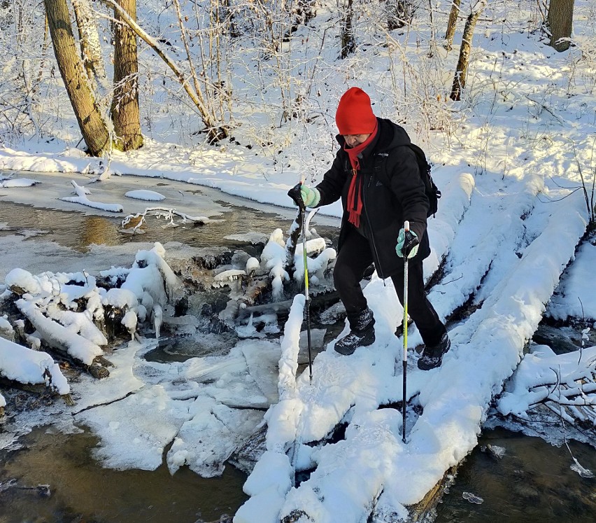 Dnem Parowu Cieleszyńskiego płynie Struga Niewieścińska. Jej...