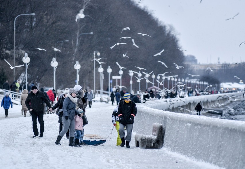 Gdynia planuje walkę z zimą. Będzie słono! Miasto kupiło ponad 5 tysięcy ton soli drogowej