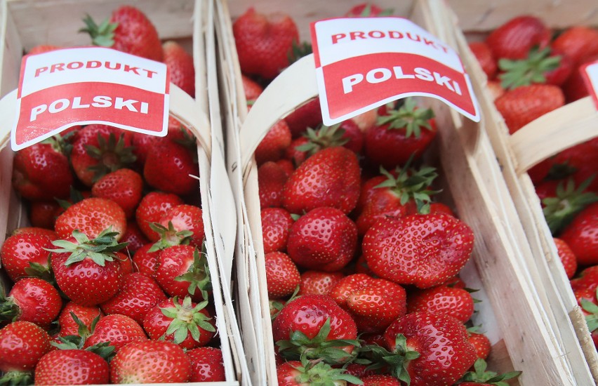 Jak odróżnić polskie truskawki od zagranicznych i dlaczego te polskie są droższe