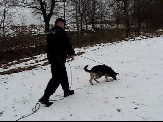 Po 8 kilometrach tropienia przez zaśnieżone pola, pies doprowadził funkcjonariuszy do domu 17-latka.