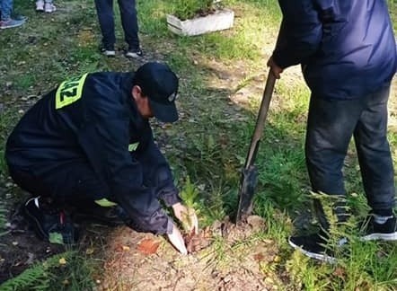 Akcja sadzenia drzew w Oświęcimiu