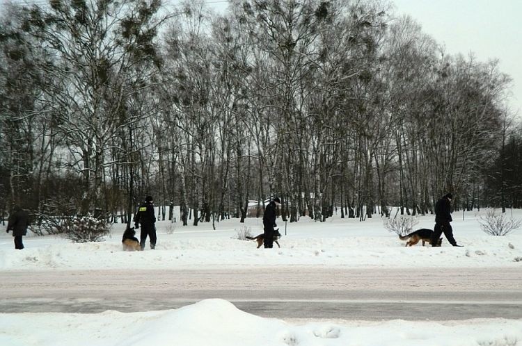 Policja ćwiczyła w parku. Psy służbowe przeszły szkolenie (zdjęcia)