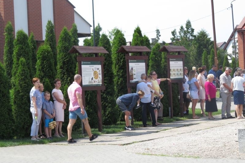 Procesja Bożego Ciała - parafia pw. Matki Bożej Fatimskiej w...