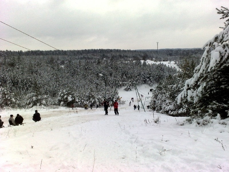 Ogrodniczki - białe szaleństwo