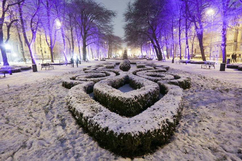 Pierwszy śnieg w tym roku. Zobacz Słupsk w zimowej scenerii [ZDJĘCIA]