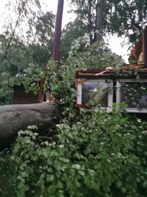 Drzewa zniszczyły domki letniskowe nad jeziorem Dłusko.